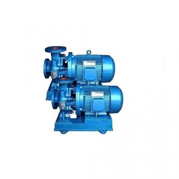 Vickers PV046R1D3CDNMRW+PV046R1E3BCNMR Piston Pump PV Series
