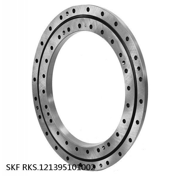 RKS.121395101002 SKF Slewing Ring Bearings