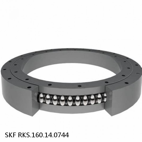 RKS.160.14.0744 SKF Slewing Ring Bearings