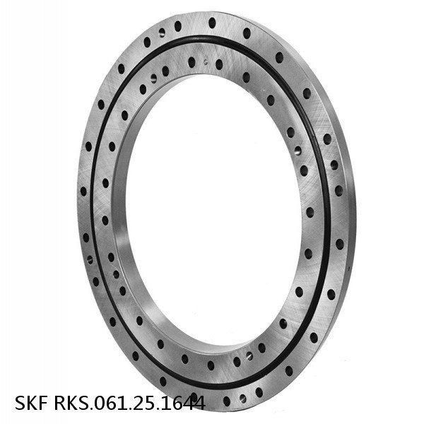 RKS.061.25.1644 SKF Slewing Ring Bearings