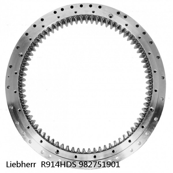 982751901 Liebherr  R914HDS Slewing Ring