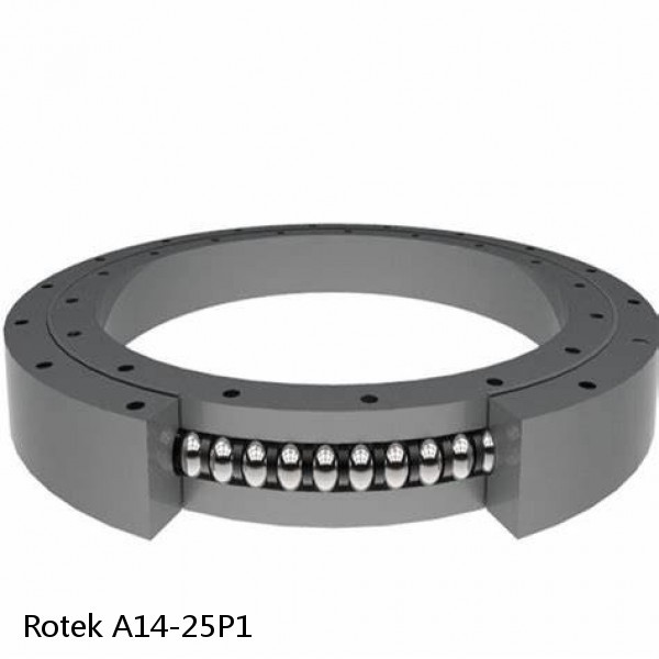 A14-25P1 Rotek Slewing Ring Bearings