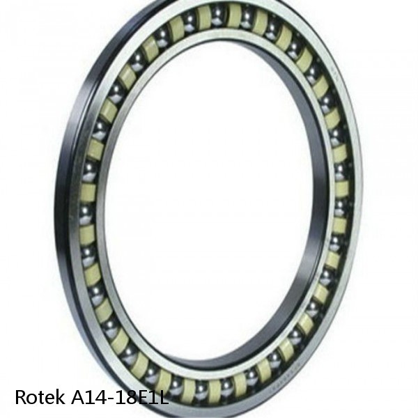 A14-18E1L Rotek Slewing Ring Bearings