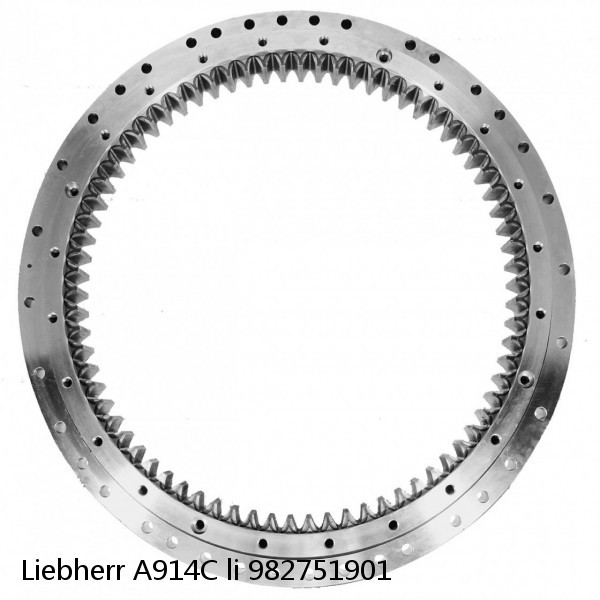 982751901 Liebherr A914C li Slewing Ring