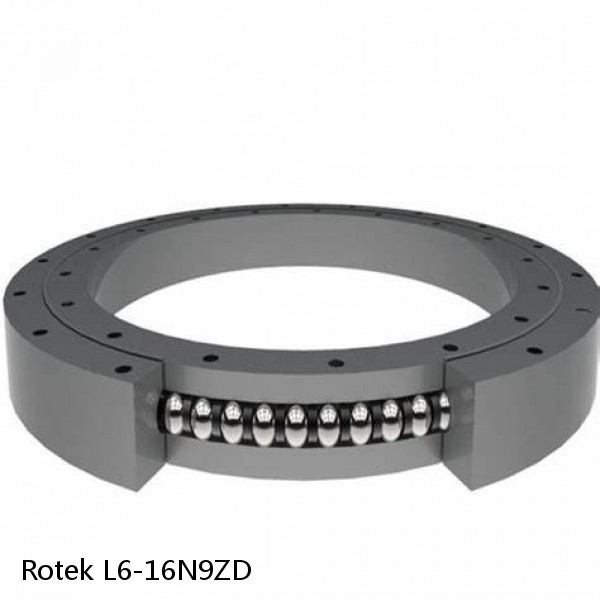 L6-16N9ZD Rotek Slewing Ring Bearings