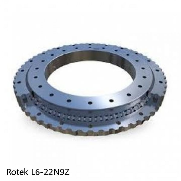 L6-22N9Z Rotek Slewing Ring Bearings