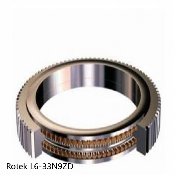 L6-33N9ZD Rotek Slewing Ring Bearings