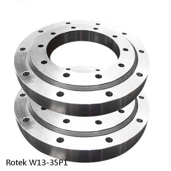 W13-35P1 Rotek Slewing Ring Bearings