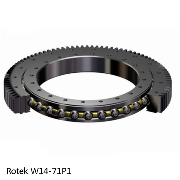 W14-71P1 Rotek Slewing Ring Bearings