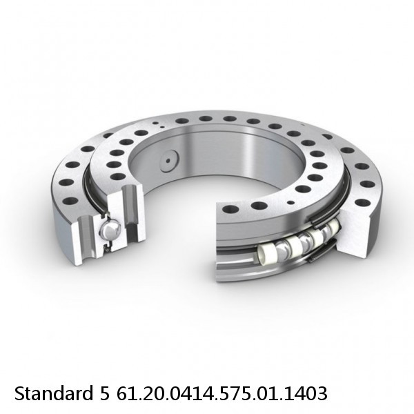 61.20.0414.575.01.1403 Standard 5 Slewing Ring Bearings