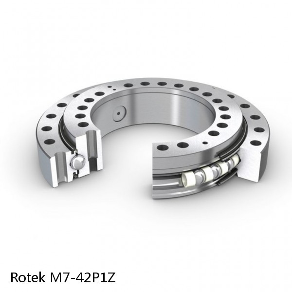 M7-42P1Z Rotek Slewing Ring Bearings