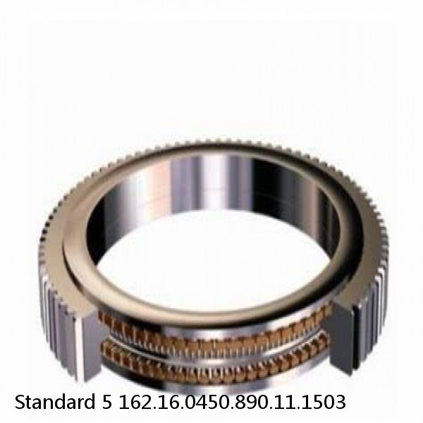 162.16.0450.890.11.1503 Standard 5 Slewing Ring Bearings