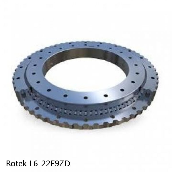 L6-22E9ZD Rotek Slewing Ring Bearings