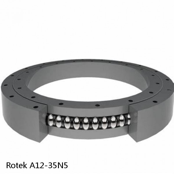 A12-35N5 Rotek Slewing Ring Bearings