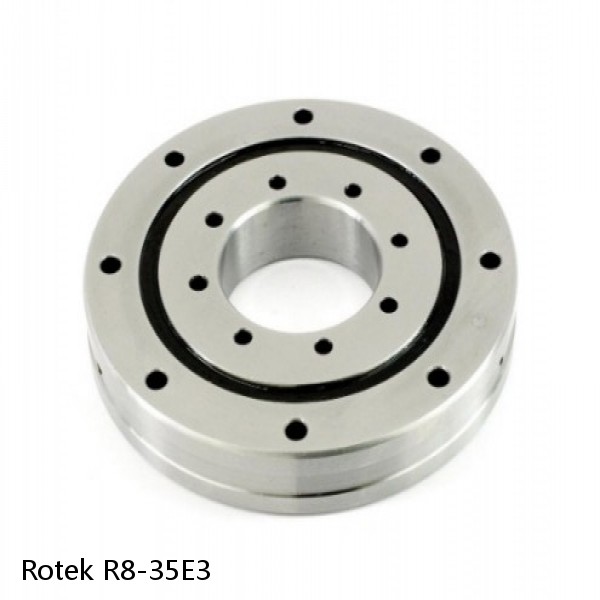 R8-35E3 Rotek Slewing Ring Bearings