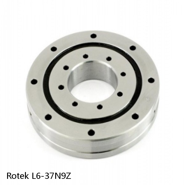 L6-37N9Z Rotek Slewing Ring Bearings