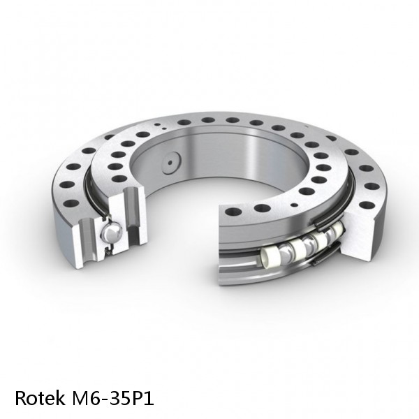 M6-35P1 Rotek Slewing Ring Bearings