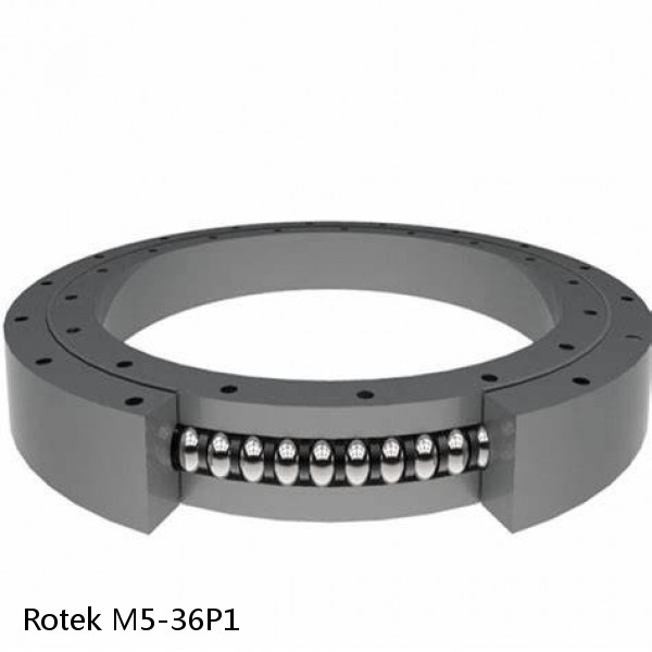 M5-36P1 Rotek Slewing Ring Bearings