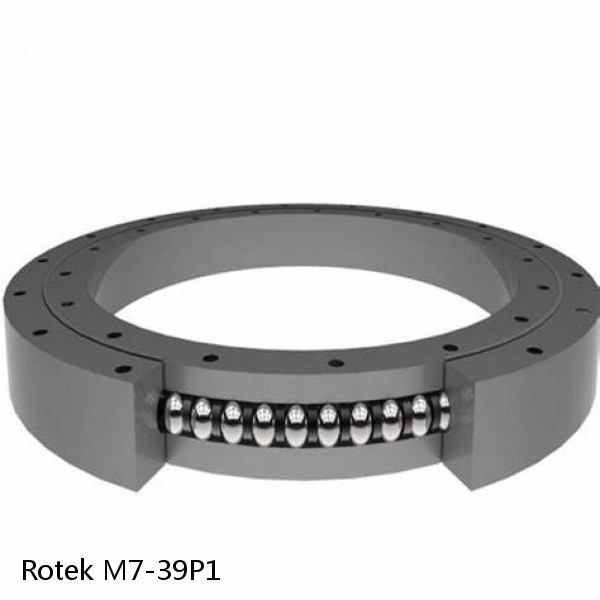 M7-39P1 Rotek Slewing Ring Bearings