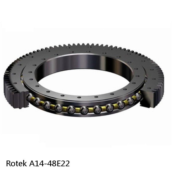 A14-48E22 Rotek Slewing Ring Bearings