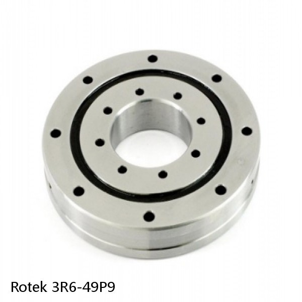 3R6-49P9 Rotek Slewing Ring Bearings