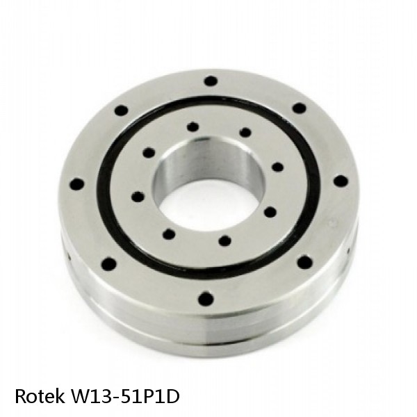 W13-51P1D Rotek Slewing Ring Bearings