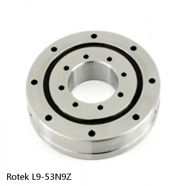 L9-53N9Z Rotek Slewing Ring Bearings