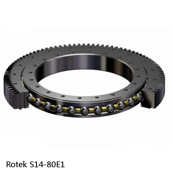 S14-80E1 Rotek Slewing Ring Bearings