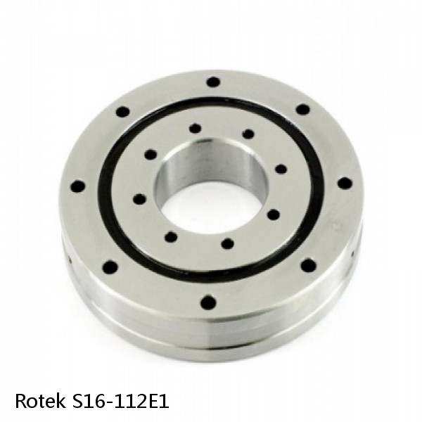 S16-112E1 Rotek Slewing Ring Bearings