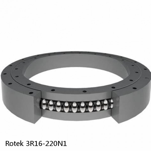 3R16-220N1 Rotek Slewing Ring Bearings