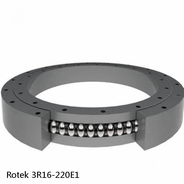 3R16-220E1 Rotek Slewing Ring Bearings