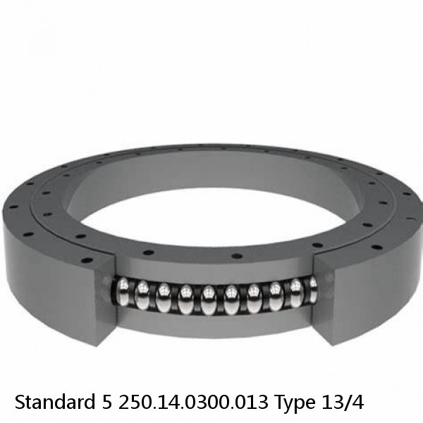 250.14.0300.013 Type 13/4 Standard 5 Slewing Ring Bearings