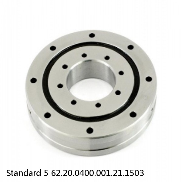 62.20.0400.001.21.1503 Standard 5 Slewing Ring Bearings