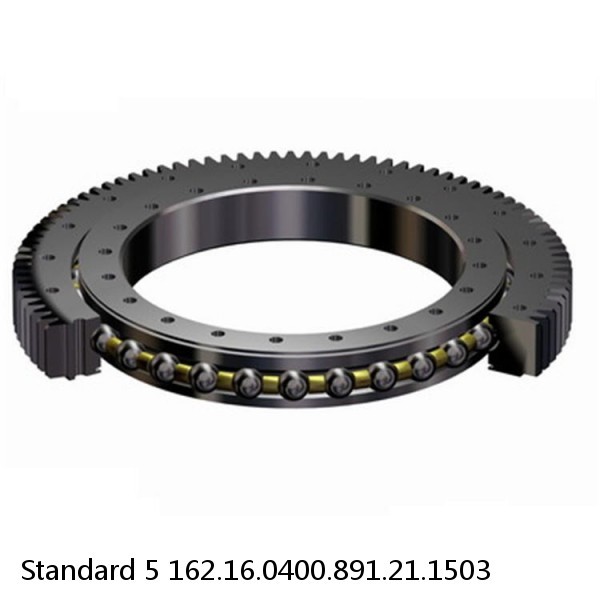 162.16.0400.891.21.1503 Standard 5 Slewing Ring Bearings