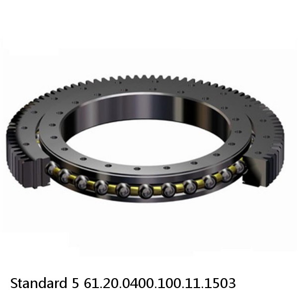 61.20.0400.100.11.1503 Standard 5 Slewing Ring Bearings