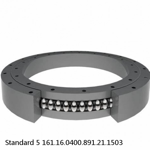 161.16.0400.891.21.1503 Standard 5 Slewing Ring Bearings