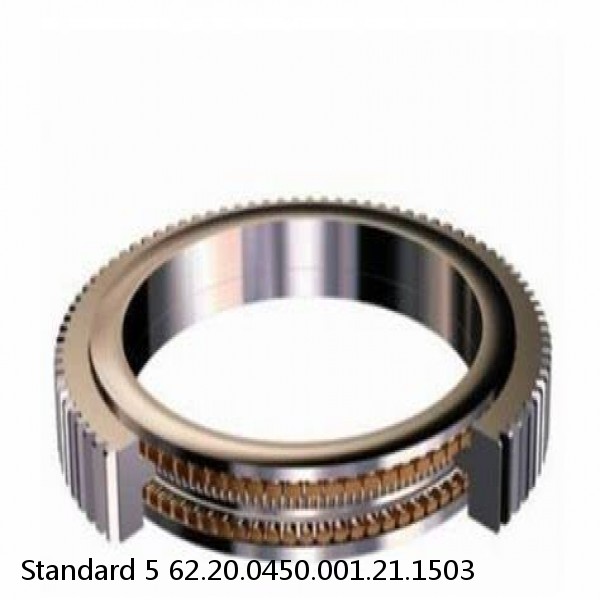 62.20.0450.001.21.1503 Standard 5 Slewing Ring Bearings