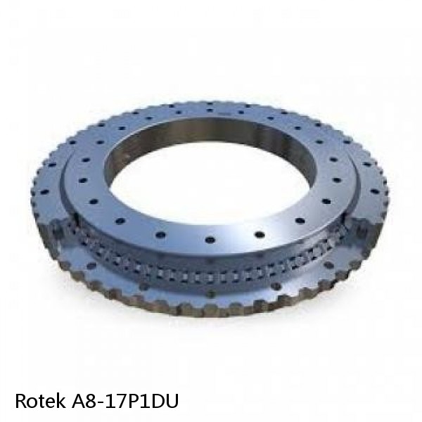 A8-17P1DU Rotek Slewing Ring Bearings