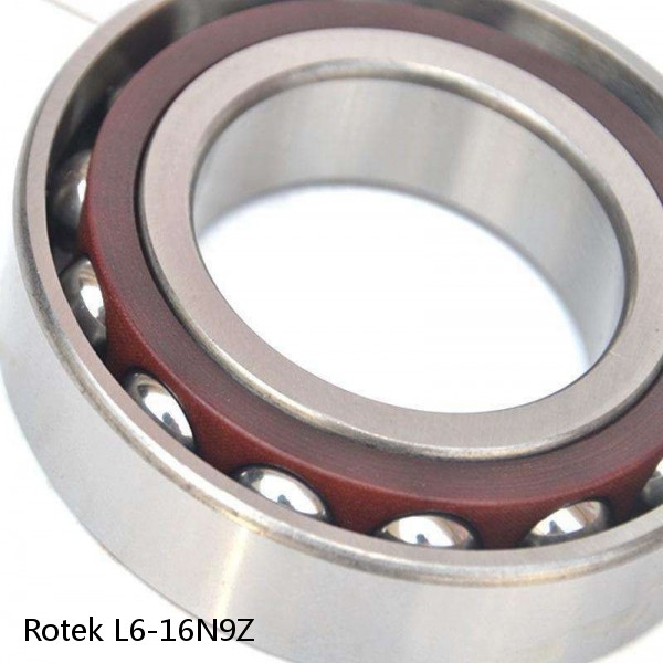 L6-16N9Z Rotek Slewing Ring Bearings