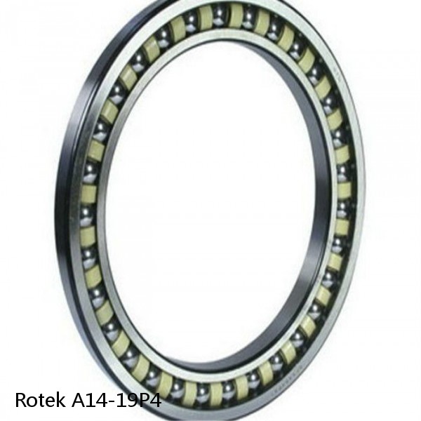 A14-19P4 Rotek Slewing Ring Bearings