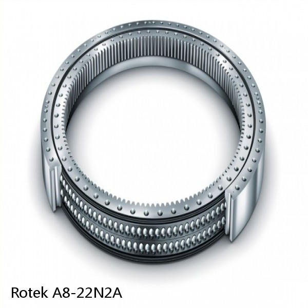 A8-22N2A Rotek Slewing Ring Bearings