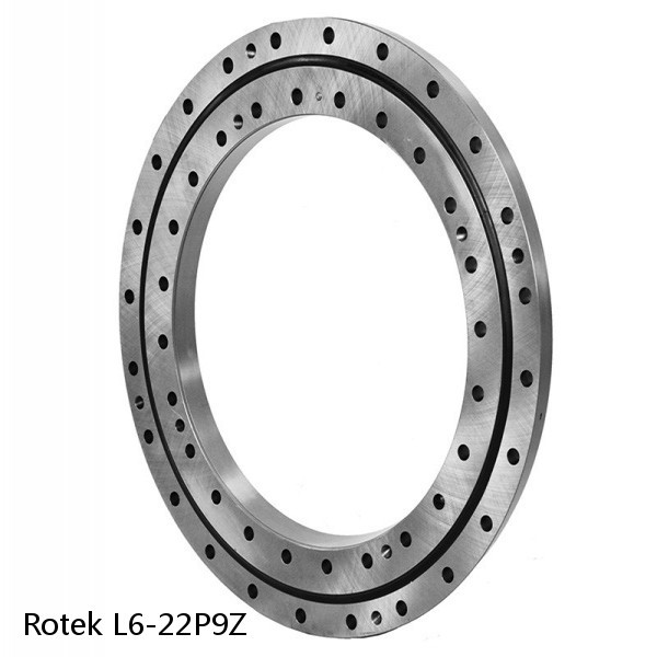 L6-22P9Z Rotek Slewing Ring Bearings