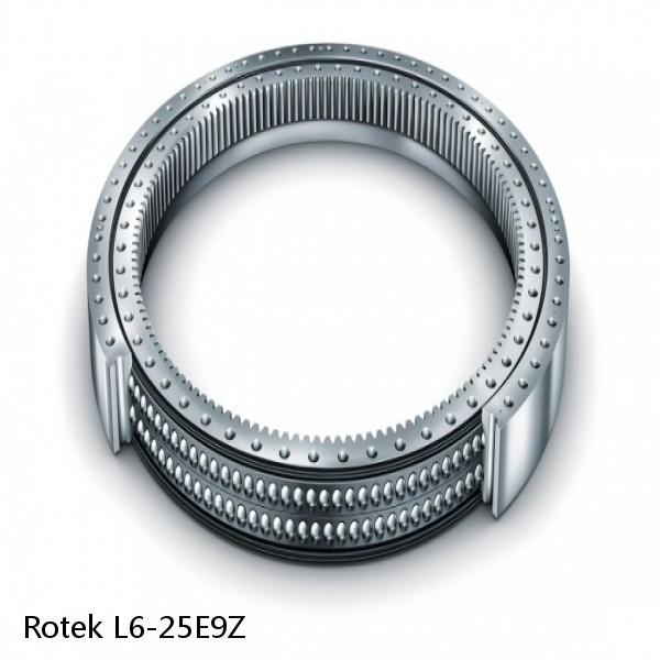 L6-25E9Z Rotek Slewing Ring Bearings