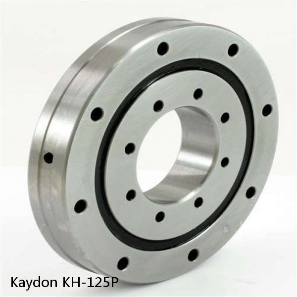 KH-125P Kaydon Slewing Ring Bearings