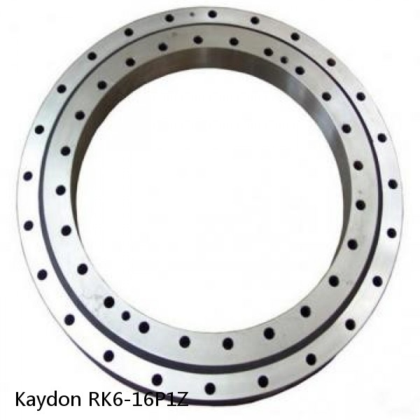 RK6-16P1Z Kaydon Slewing Ring Bearings