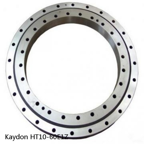 HT10-60E1Z Kaydon Slewing Ring Bearings