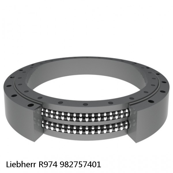 982757401 Liebherr R974 Slewing Ring