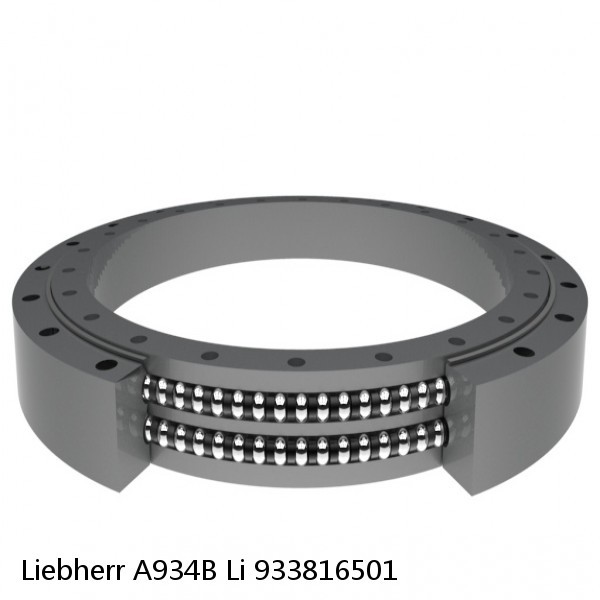 933816501 Liebherr A934B Li Slewing Ring