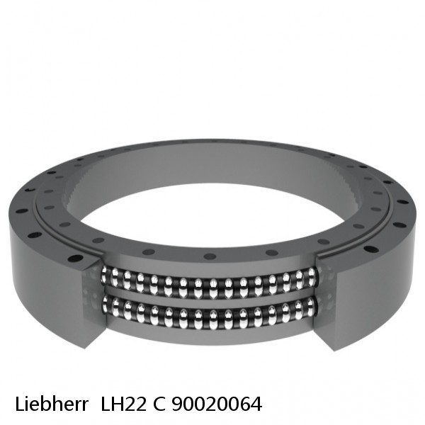 90020064 Liebherr  LH22 C Slewing Ring